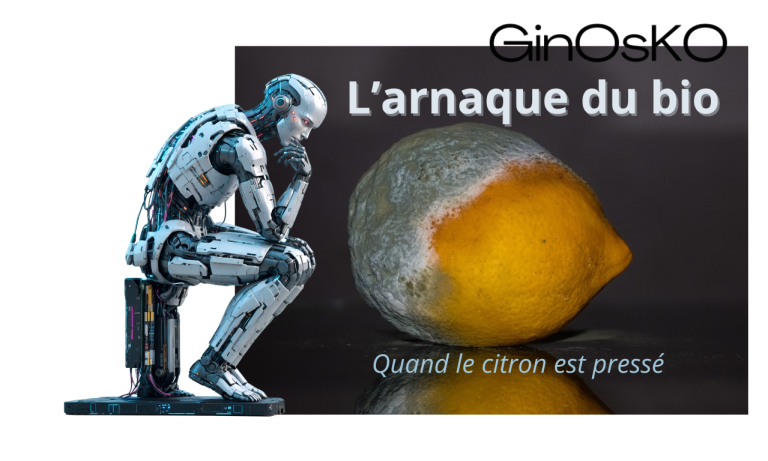 La petite histoire de la photographie