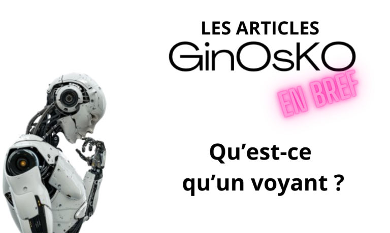 Qu'est-ce qu'un voyant ?