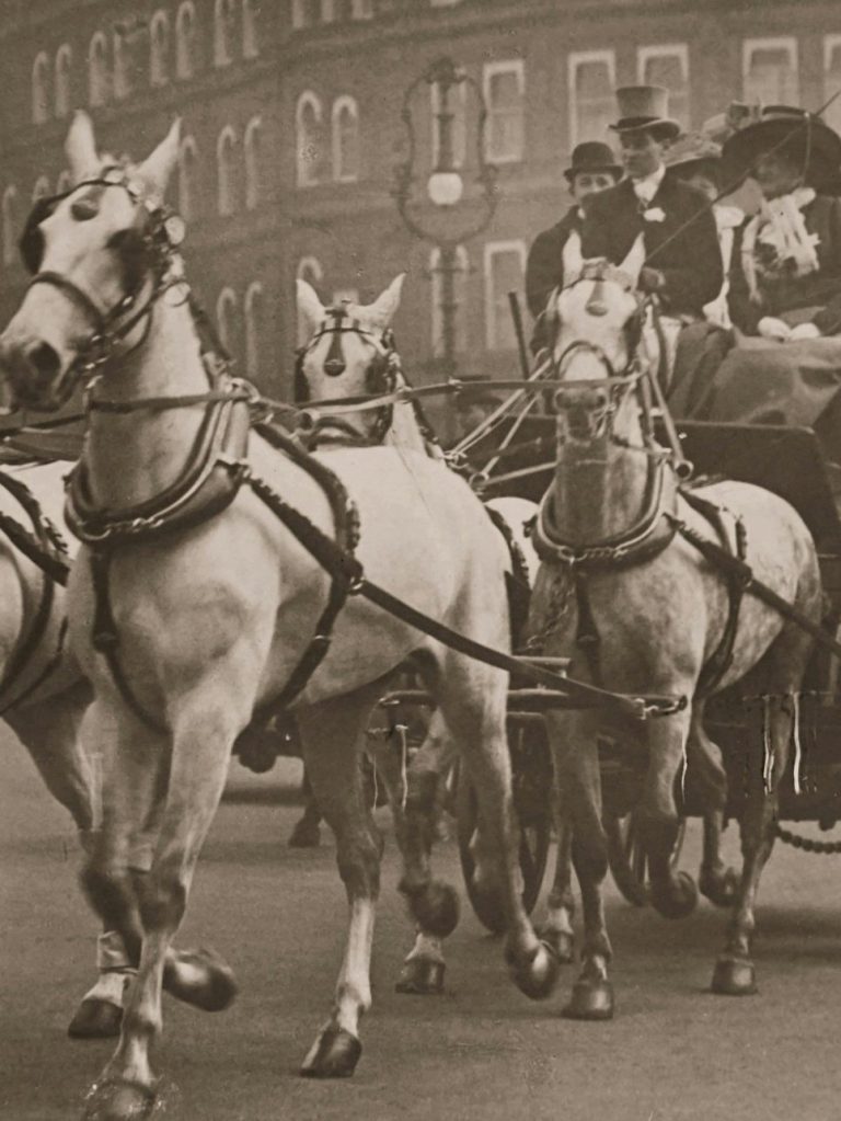 Calèche parisienne